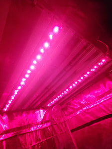 True Infrared (735nm, 850nm) Supplemental Series IR LED Lightstrip